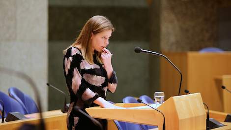 Minister Schouten geeft toelichting aan de Kamer.