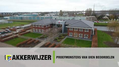 Proefmonsters van uien beoordelen