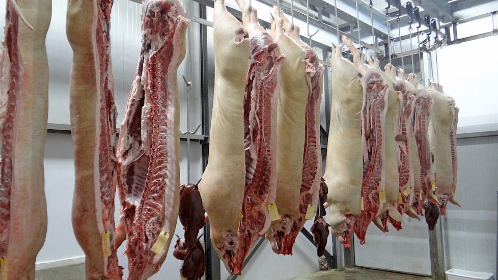 Omstreden slachterij Holland Vlees Service uit Dodewaard failliet