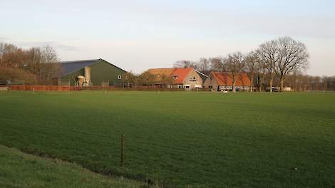 Melkveebedrijf in Drenthe.