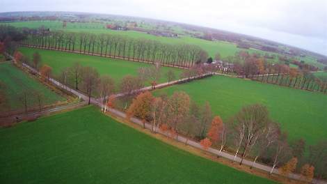 Landwegen in het buitengebied van de Achterhoek.