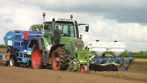 aaltjes en ritnaalden in aardappelen