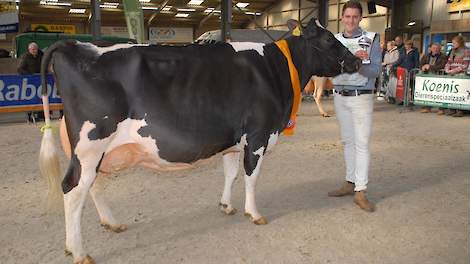 De zeer evenredig gebouwde Future Dream H. Ber 48, een Shamrock-dochter van de familie Wijnker uit Avenhorn, werd kampioene bij de oudere koeien.