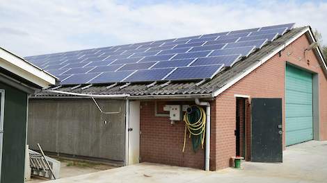 Ruim 40 procent van de Nederlandse pluimveehouders heeft zonnepanelen.