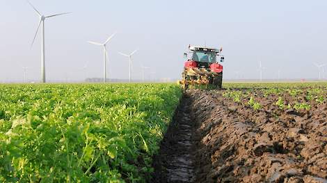 Henk Nienhuis: Wij telen ook nog maximaal groenbemesters, die ook meststoffen vasthouden.