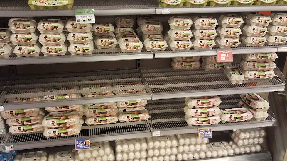 Scharreleieren in schappen Albert Heijn Jumbo vanwege eiertekort | Pluimveeweb.nl - Nieuws voor pluimveehouders