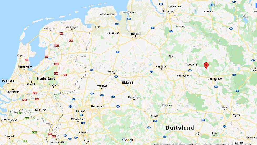 Op een kalkoenbedrijf in Wieglitz (rode punt op de kaart) in de deelstaat Saksen-Anhalt, in het midden van Duitsland heerst waarschijnlijk H5 vogelgriep. Wieglitzt ligt hemelsbreed een kleine 300 kilometer van de Nederlandse grens met de regio Twente.