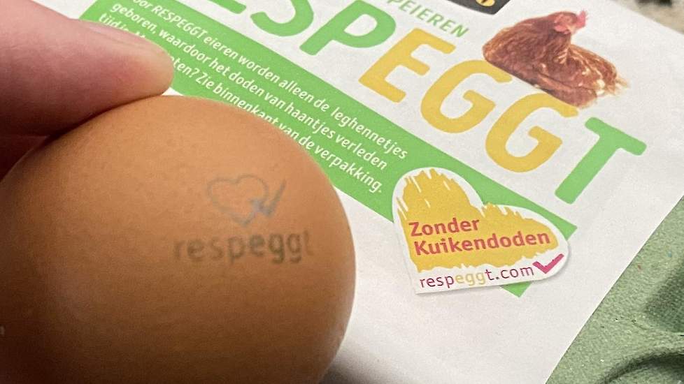 De eieren afkomstig van het legpluimveebedrijf van Evert Dijsselhof liggen sinds eind maart 2020 in supermarkten van Jumbo en zijn te herkennen aan het Respeggt logo.