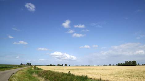 Zeelands landschap