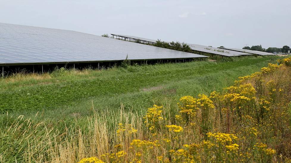LTO Nederland wil kostbare landbouwgrond zo veel mogelijk ontzien bij de aanleg van zonneparken.