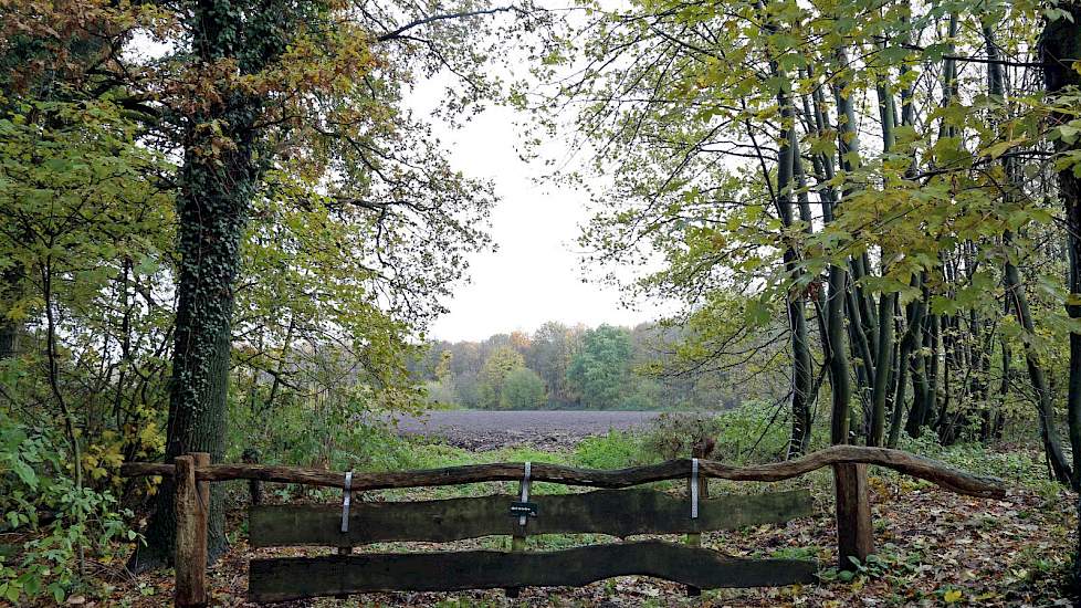 Het Aamsveen in Overijssel, een stikstofgevoelig natuurgebied.