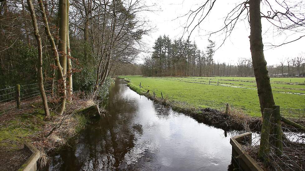 Foto ter illustratie. Gebied op de foto komt niet overeen met het gebied besproken in het artikel.