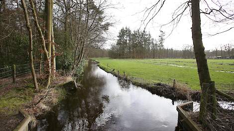 Foto ter illustratie. Gebied op de foto komt niet overeen met het gebied besproken in het artikel.