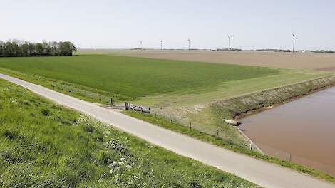 Beeld ter illustratie.