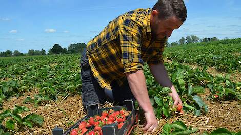 Dick Garritsen, eigenaar van boerderijwinkel De Kruisbrink: „Ik wil de burgers en buitenlui in contact brengen met de landbouw.”