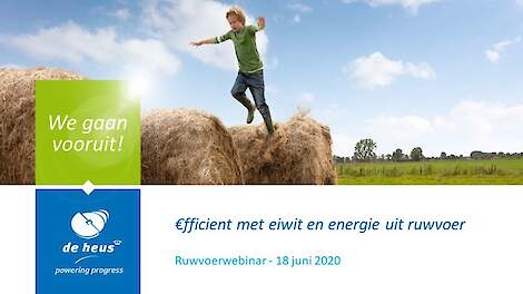 Ruwvoerwebinar