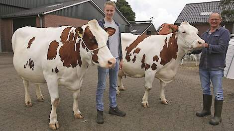 Links Hidde Harbers met Annie 165 (Manhattan x Pleasure), die vorig jaar het middenklassekampioenschap in Eibergen won en rechts Marcel met de bijna 12-jarige Marijke 111 (Ilion x Stadel), de moeder van de Fleckviehkoe van het jaar 2019.