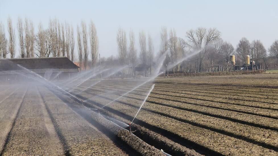 Ezel Mainstream Boomgaard Brabantse boeren zetten schouders onder droogtemaatregelen | Akkerwijzer.nl  - Nieuws en kennis voor de akkerbouwers
