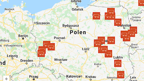 Kaart van Afrikaanse varkenspest in Polen