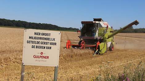 Vrijdagmiddag oogstte akkerbouwer Rob Eggen uit Windraak brouwgerst voor de Gulpener. „Het eiwitgehalte bedraagt 12 procent. Dus ik kan deze gelukkig als brouwgerst afzetten”, aldus Rob Eggen.