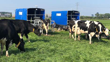 In de mobiele GreenFeeds wordt de methaanuitstoot gemeten terwijl de koeien een portie brok wegwerken.