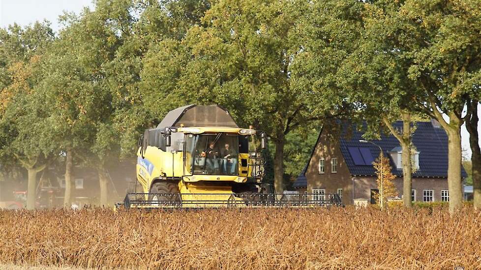 De opbrengstprognose voor sojabonen werd echter verhoogd, omdat er goede groeiomstandigheden werden gerapporteerd in Noord-Italië en Hongarije.