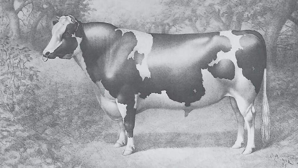 De in 1880 geboren Netherland Prince is niet verwant aan Elevation of Chief. Zijn nazaten kunnen mogelijk zorgen voor de broodnodige diversiteit in de huidige Holstein-populatie.