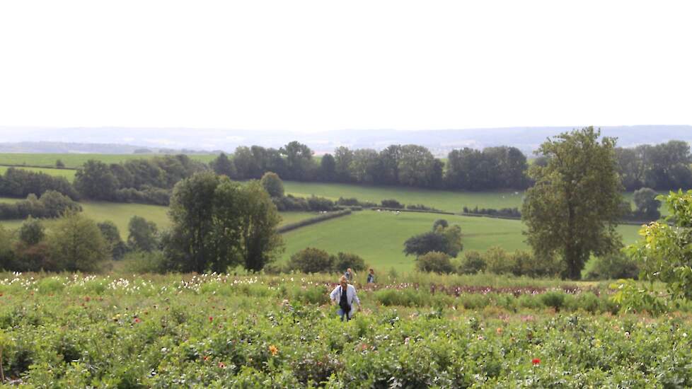 Ruim driekwart van de Nederlanders veel waardering heeft voor het Nederlandse landschap en de rol die boeren en tuinders spelen bij het in stand houden van het landschap, zoals het Zuid-Limburgse heuvellandschap bij Eyserheide.