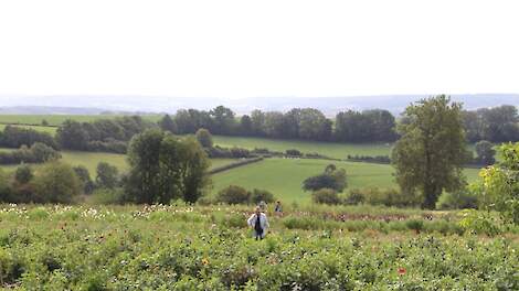 Ruim driekwart van de Nederlanders veel waardering heeft voor het Nederlandse landschap en de rol die boeren en tuinders spelen bij het in stand houden van het landschap, zoals het Zuid-Limburgse heuvellandschap bij Eyserheide.