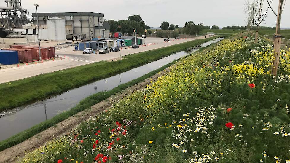 De natuurdijk ligt tussen de fabriek van Farm Frites en het woongebied.