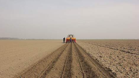 Ruim de helft van de stemmers (56 procent) is het eens met de stelling dat minder aardappelen telen in Noordwest-Europa nodig is voor een betere prijs.