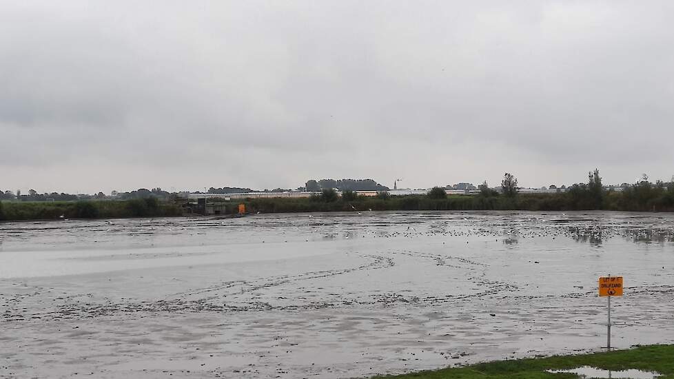 sinds dit weekend staat de zuidplas van het Kraaiennest droog