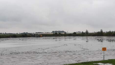 sinds dit weekend staat de zuidplas van het Kraaiennest droog