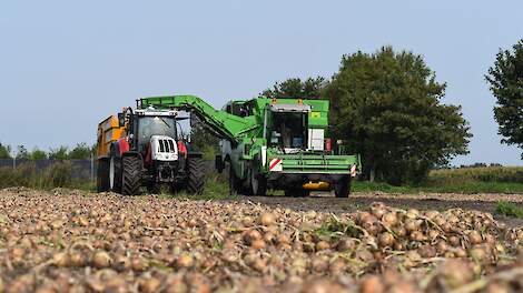 Jaap Jonker van De Groot en Slot schat in dat zo’n 2 procent van het uienareaal nog op het land staat of ligt.