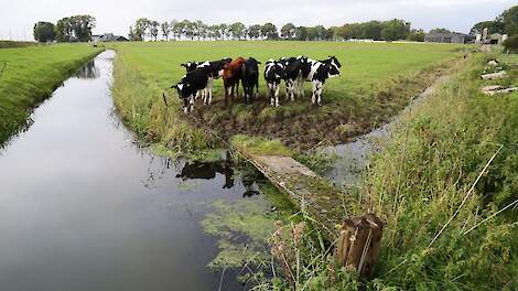 Afbeelding ter illustratie.
