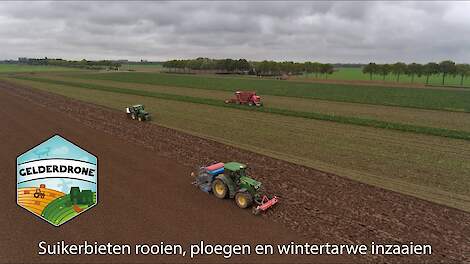 Bietencampagne 2020 Bieten rooien, ploegen en vervolgens wintertarwe inzaaien