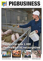 Cover Vakblad Pig Business › Editie 2020-08