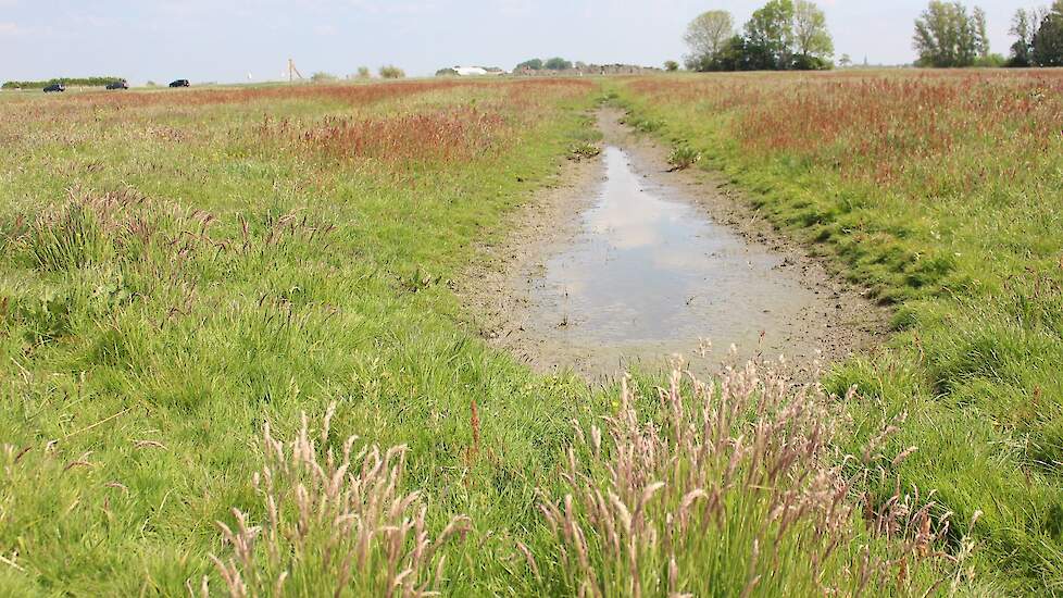 Afbeelding van een plasdras greppel ter illustratie.