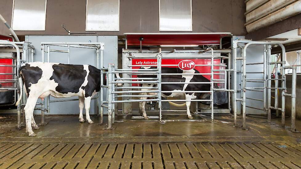 Zenuw versnelling Maak het zwaar Lely › Van de 1000 melkveebedrijven met het hoogste EJR melkt ruim de helft  automatisch | Melkvee.nl - Nieuws en kennis voor de melkveehouder