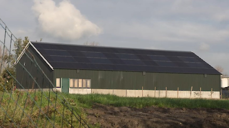 Het dak van de loods van de biologische melkveehouder is gemaakt van uitsluitend zonnepanelen.