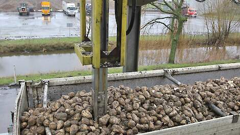 monstername bieten in vrachtwagen bij Cosun