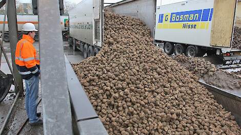 vrachtwagens lossen bieten bij Cosun Beet Company