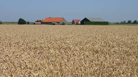 Akkerbouw in Zeeland. Archiefbeeld.