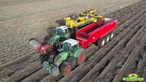 Aardappels rooien met de ROPA Keiler 2 - Landbouwbedrijf Buijs - Fendt 936/724 met Beco