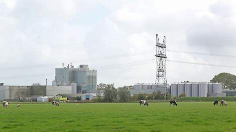 Archiefbeeld. De Cono-fabriek in Middenbeemster.