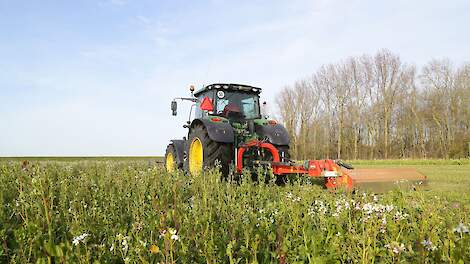 Inwerken groenbemester