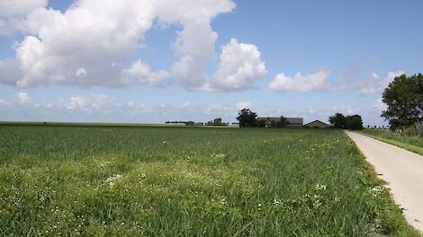 Afbeelding van Gronings landschap ter illustratie.