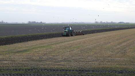 Ploegen op de Noord-Friese klei