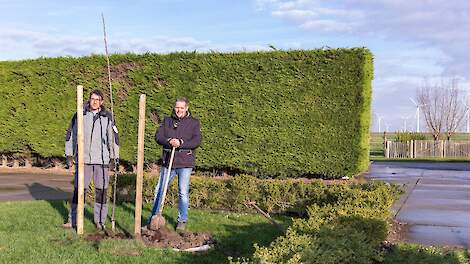 Aanplant walnotenboom bij koolstofboer Joris Wisse (Sint Philipsland).