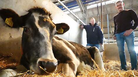 Harmke 309 samen met veehouder Harry Sol (rechts) en Bram Jansen, melkveespecialist van ForFarmers.